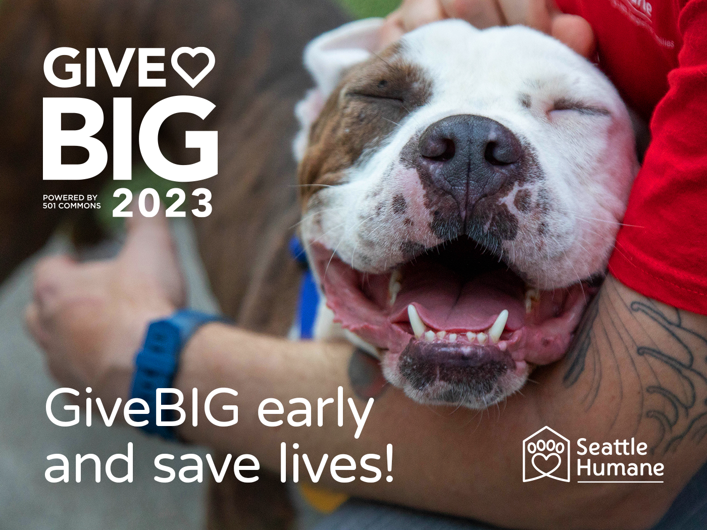 GiveBIG-2023-Early Giving