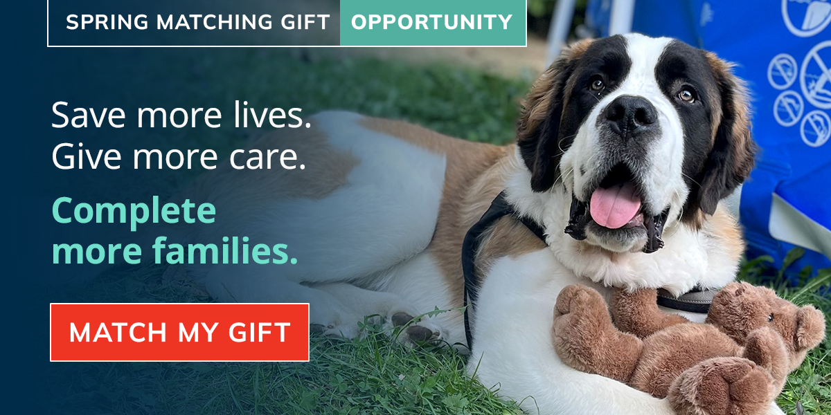 Spring Matching Gift Opportunity! Donate now.